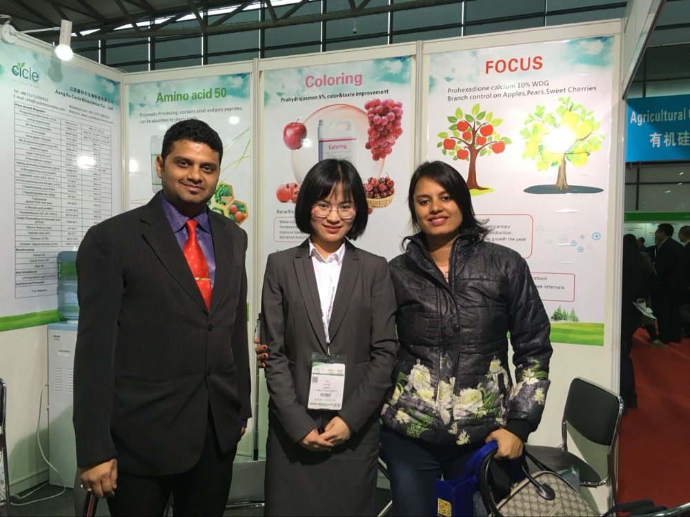 Exhibition Booth 3