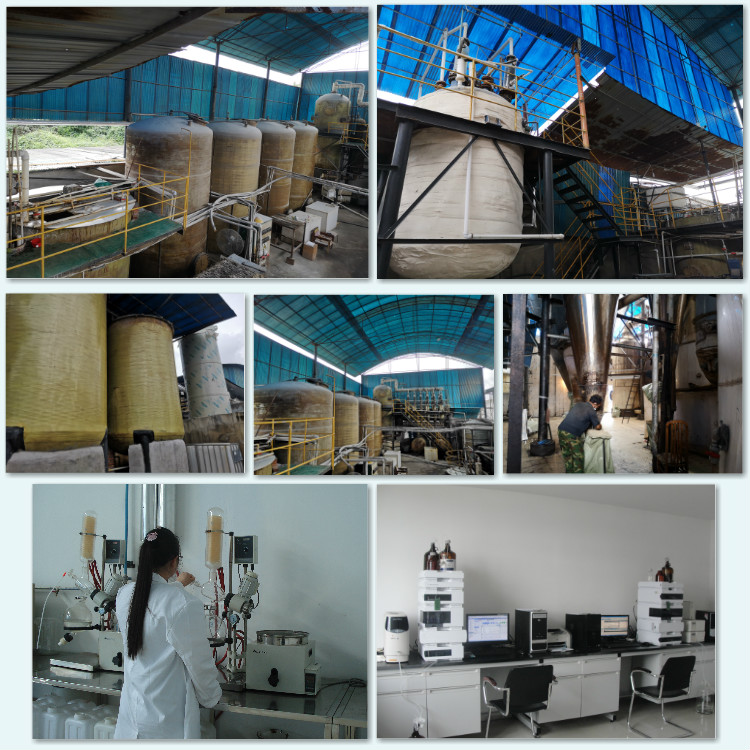 Factory Overview 3