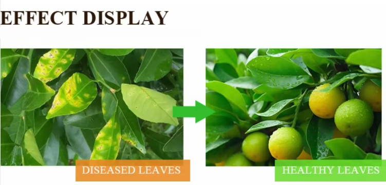 Product Application View 3