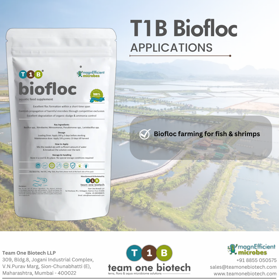 Probiotic Biofloc Culture for Aquatic Ecosystem Balance Made in India