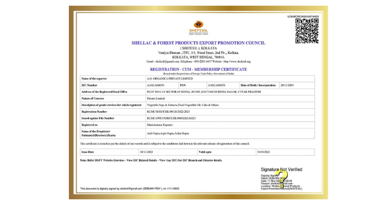 Certification 6