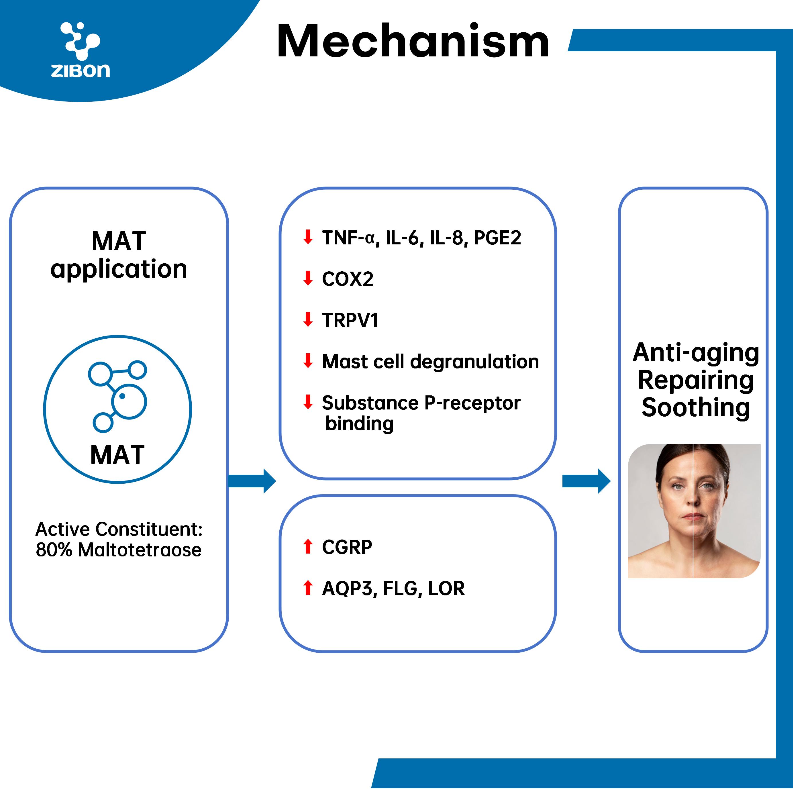 Wholesale Price Maltotetraose Active Ingredient Anti-aging Repairing Soothing Hydrolyzed Corn Starch Skin Care Chemicals