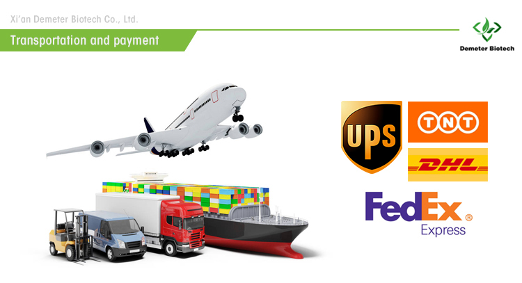 Delivery Banner