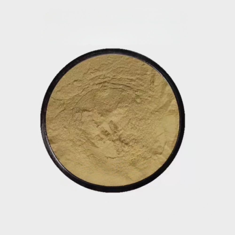 High-Concentration Plant-Derived Organic 40% Amino Acid Powder Enhances Stress Tolerance and Boosts Nutrient Efficiency