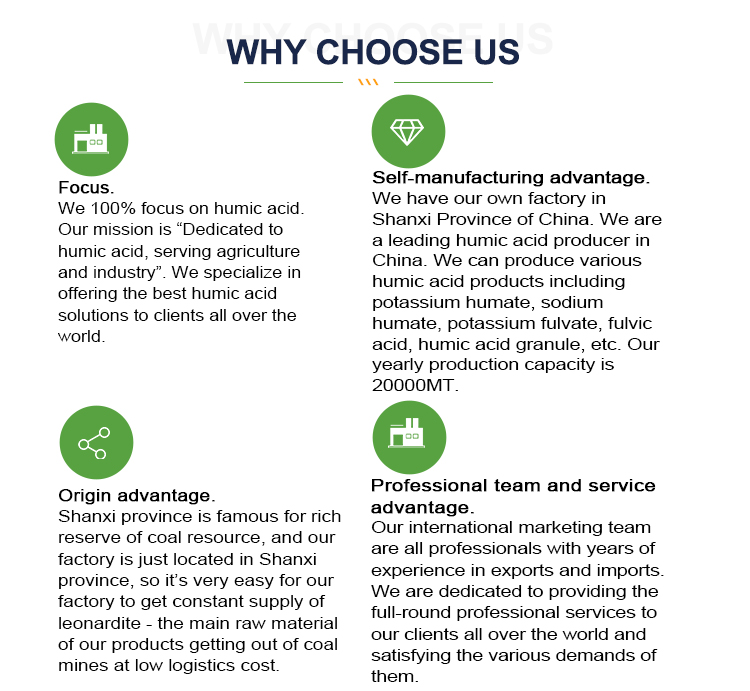 Our Strengths