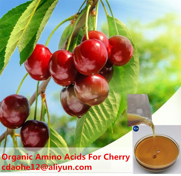 Amino Acid Product Properties