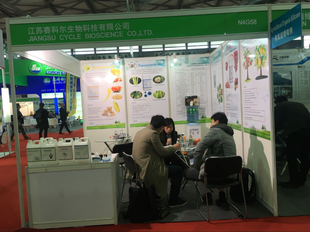 Exhibition Booth 2