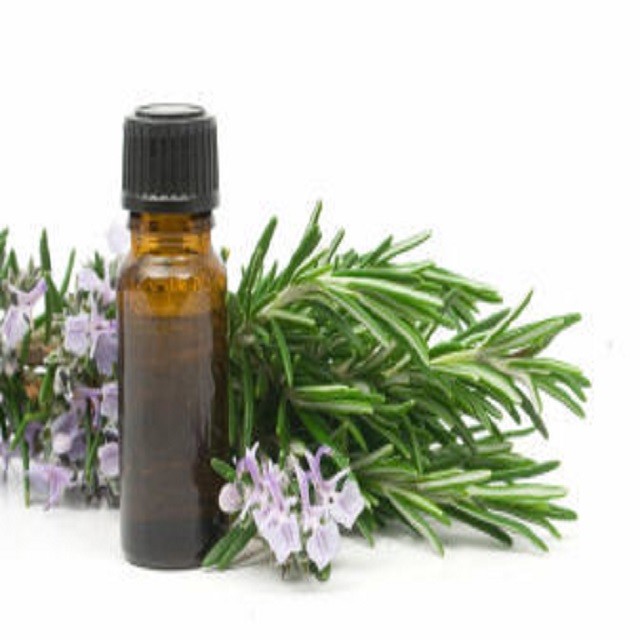 100% Pure Rosemary Essential Oil From India Vegan and Herbal Body Oil with Anti-Aging Feature OEM Bottle Supply for Adults