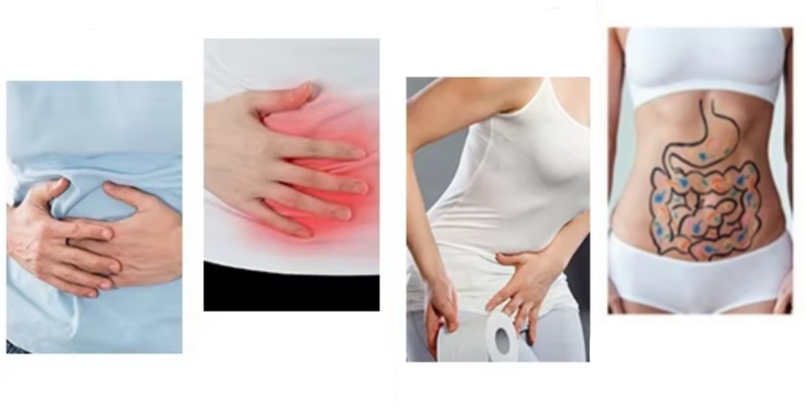 Digestive health illustration