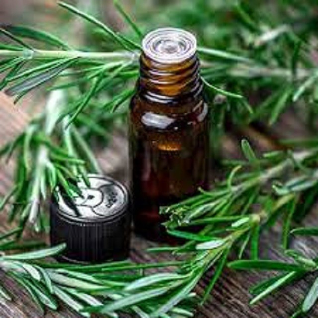 100% Pure Rosemary Essential Oil From India Vegan and Herbal Body Oil with Anti-Aging Feature OEM Bottle Supply for Adults