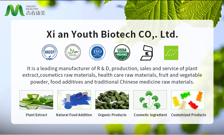 Lactobacillus casei Overview