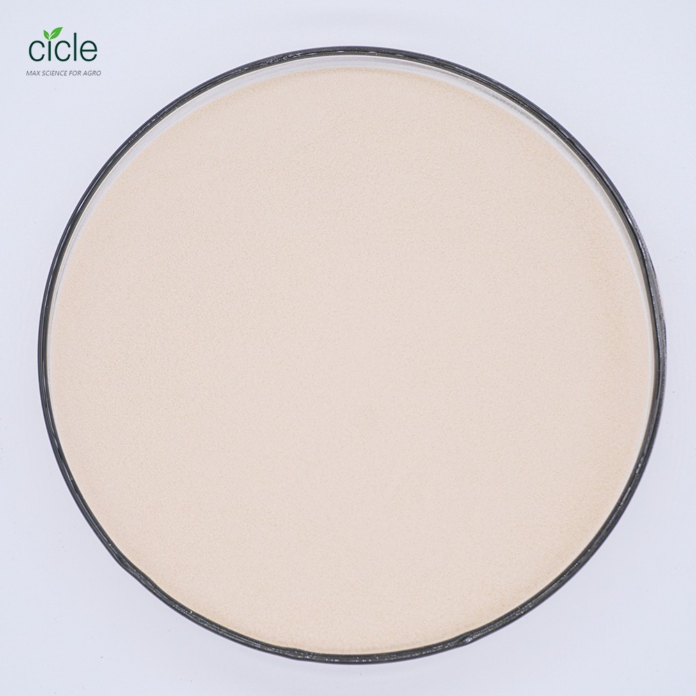 Amino Acid Powder Product