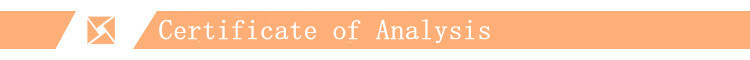 Specification Sheet Header