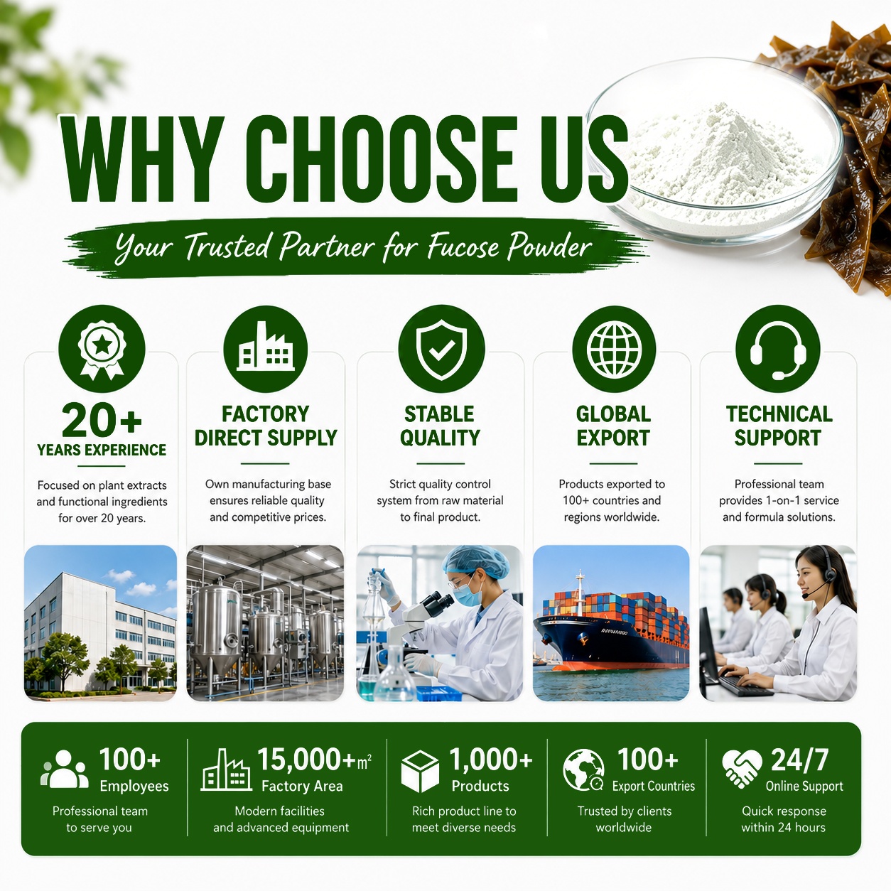Food Grade CAS 2438-80-4 High Purity 98% Non-GMO Organic Natural White Crystalline Powder HMOs Ingredient L-Fucose Sweeteners
