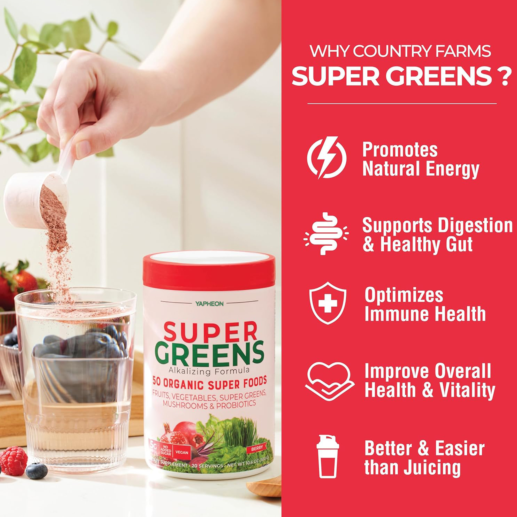 Private Label Super Food Greens Mushrooms Probiotics Powder Fiber Berry Flavor Digestive Health Immunity Support
