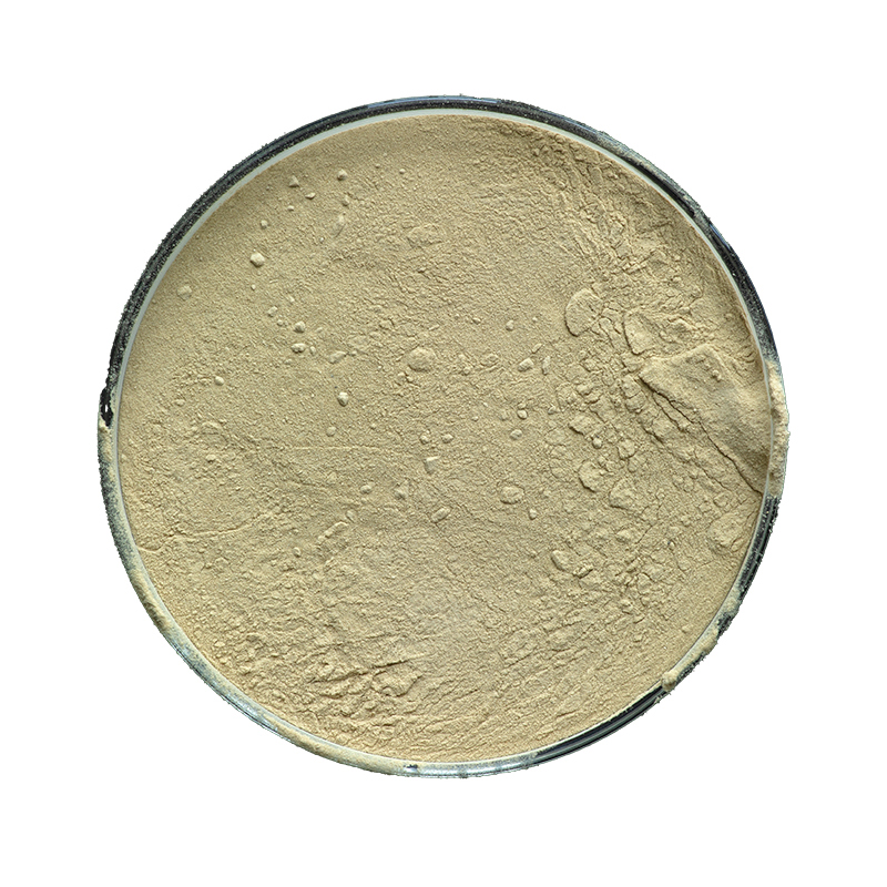 Wholesale Low-priced , Amino Acids, Plant-based Silk Amino Acids