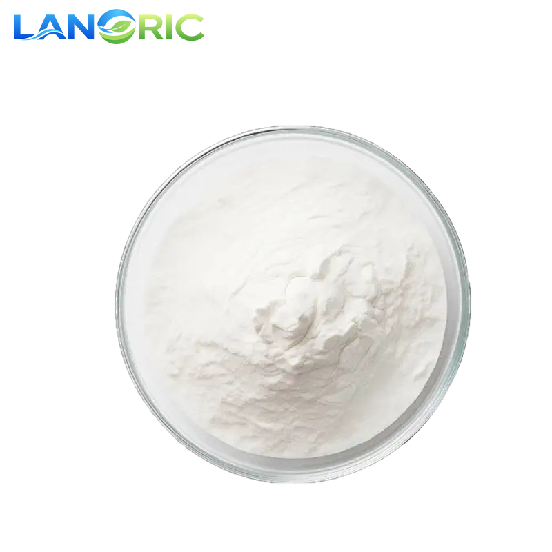 Natural L-Alanine 99% Powder Plant Derived Amino Acid Food Grade for Sports Nutrition &amp; Dietary Supplements