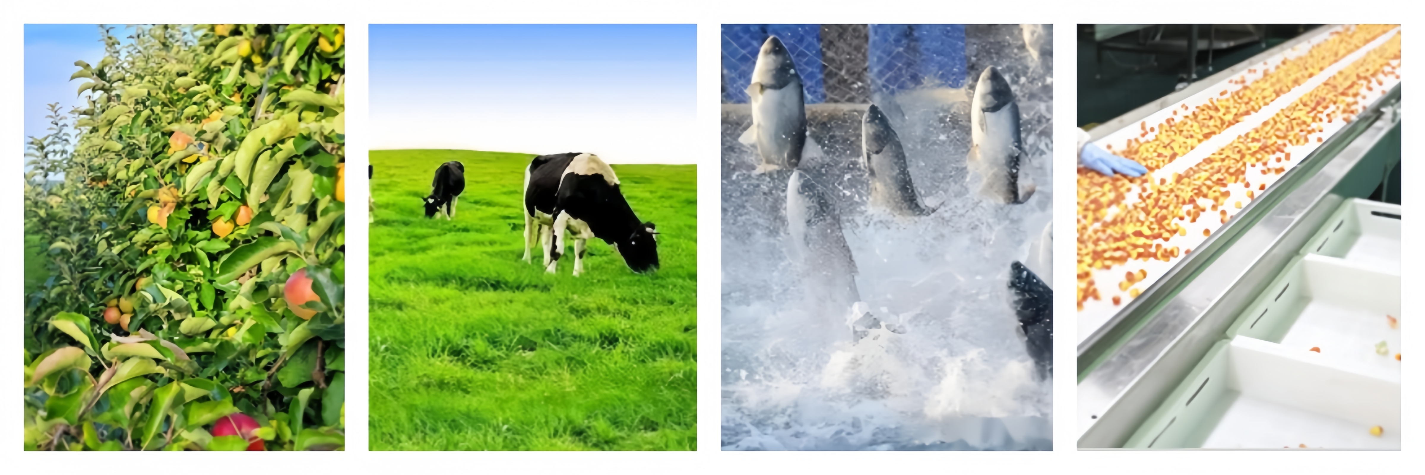 Application Crops