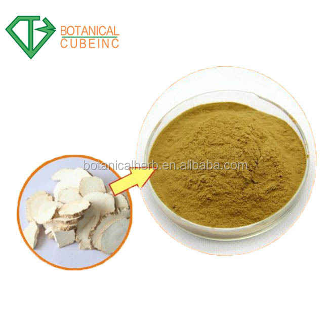 Angelica Extract