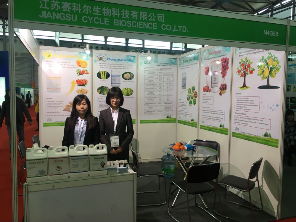 Exhibition Booth 1