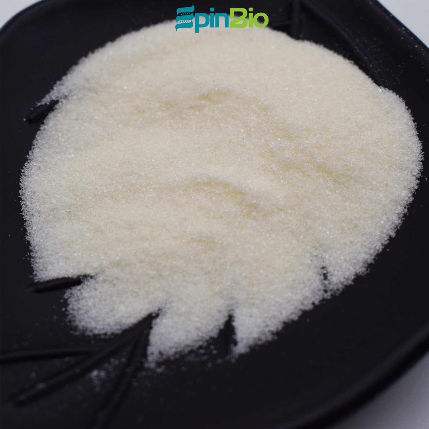 Food Grade D-Serine Supplement Organic CAS 312-84-5 Powder Syntheses Material Intermediates MOQ 1kg