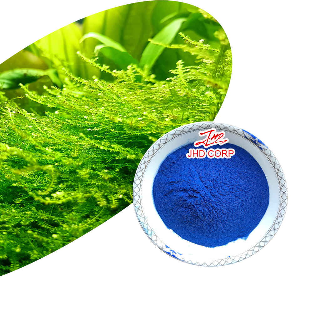 Phycocyanin Powder E18 Natural Blue Color Food Grade Bulk for Beverage Food Supplement