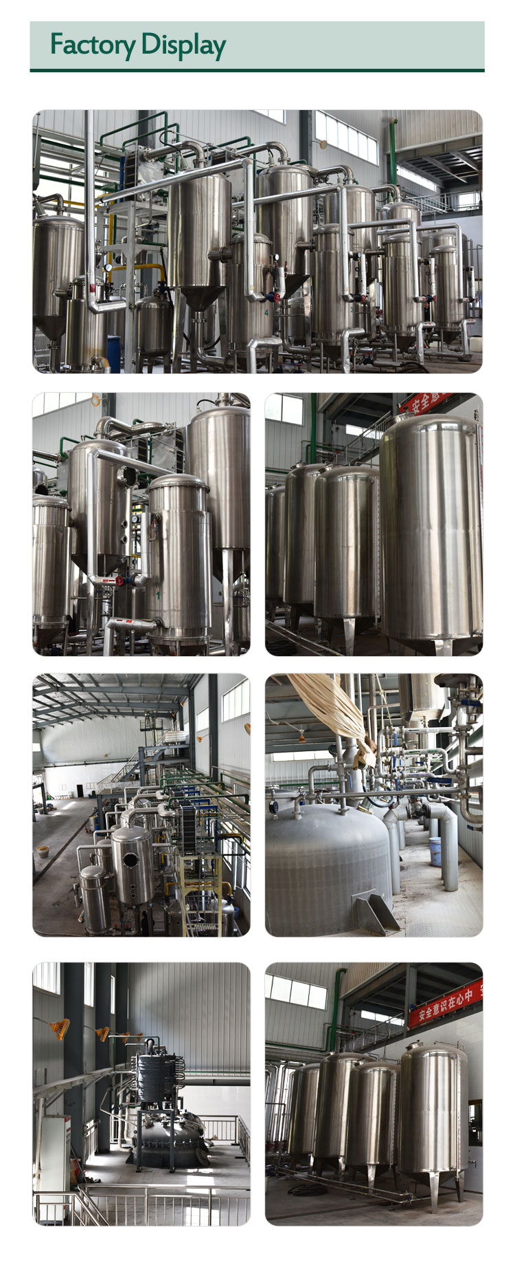 Company Facility and Production