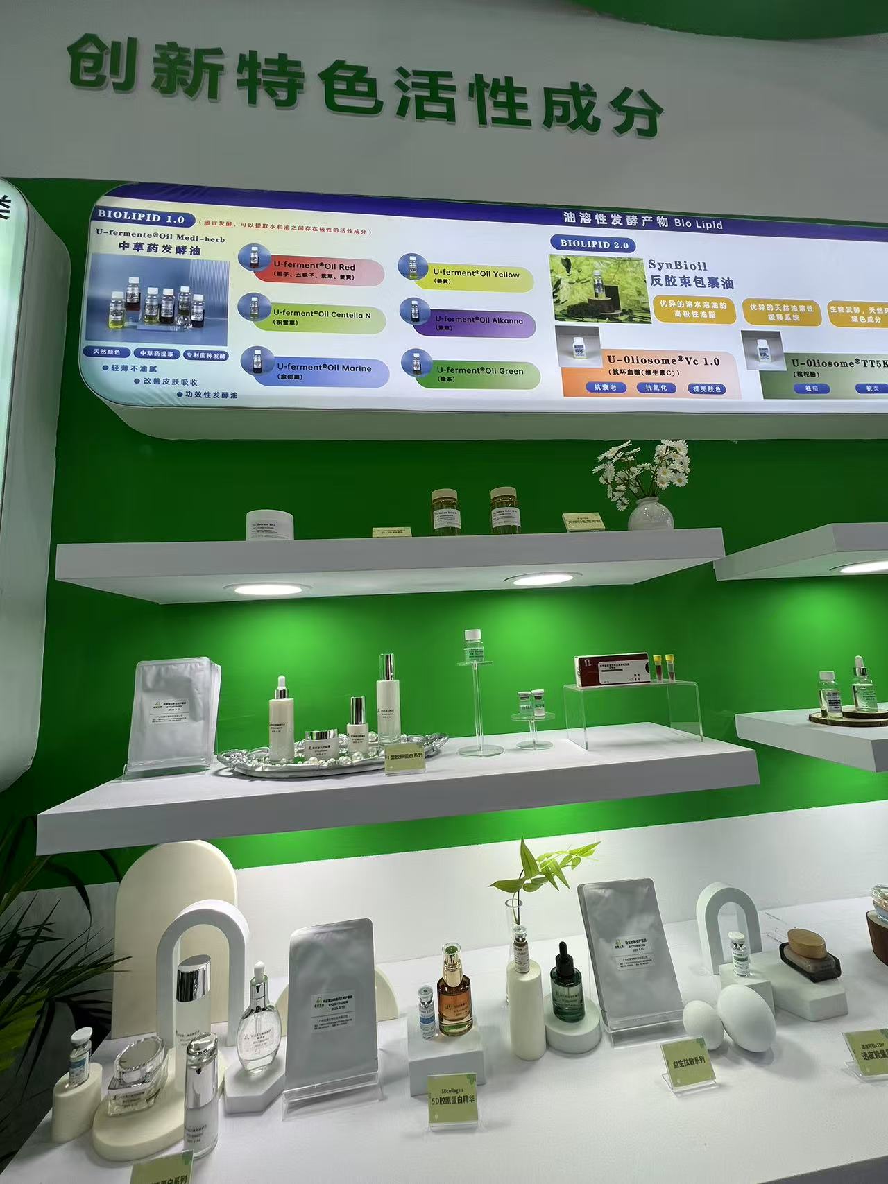 Exhibition Showcase