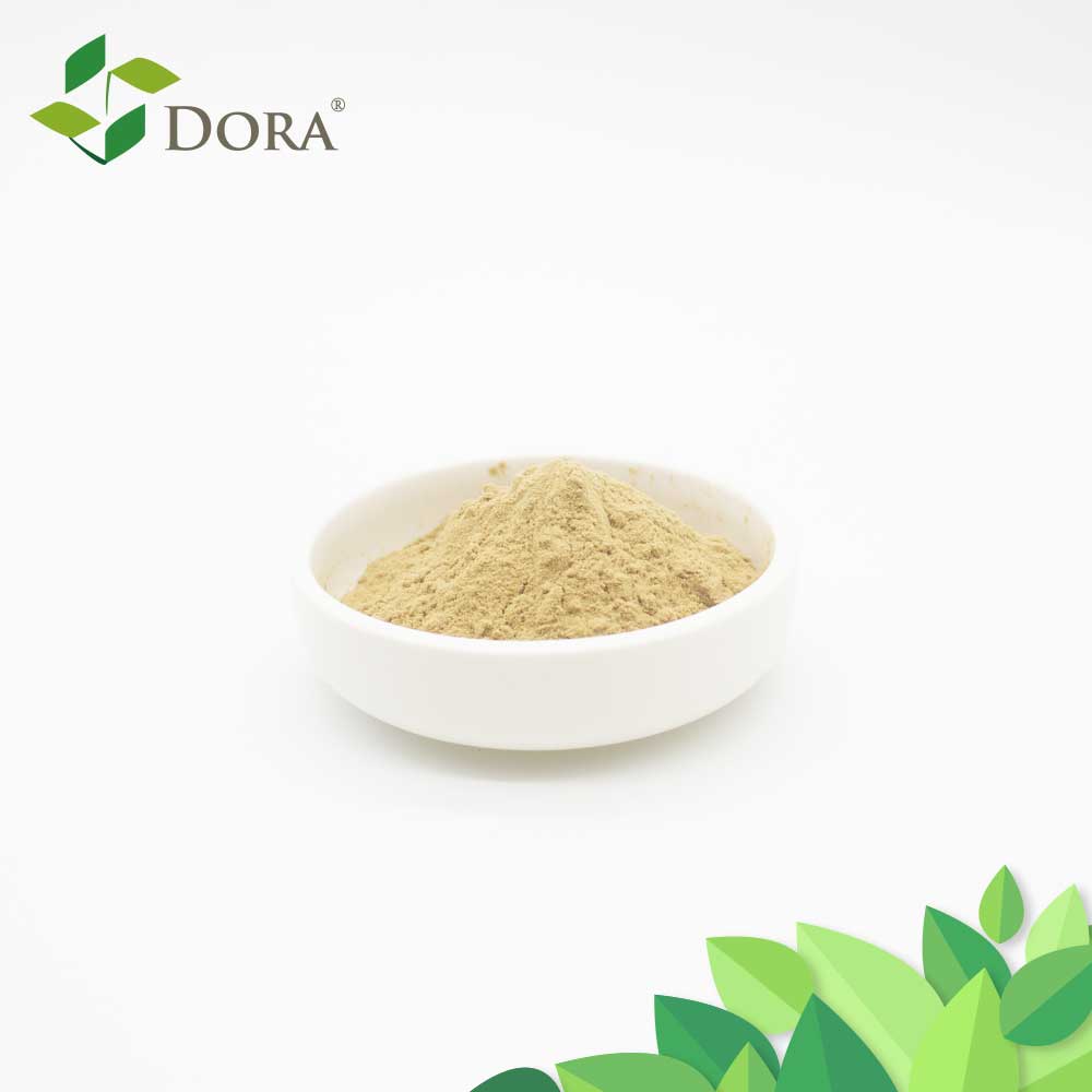 Seaweed Extract Powder