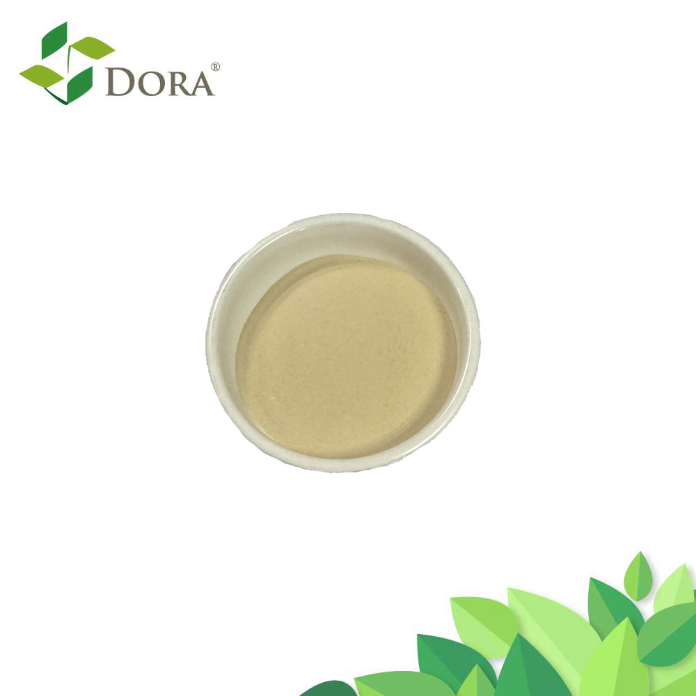 Organic Plant-Derived Amino Acid Powder Agriculture Grade Amino Veg 80
