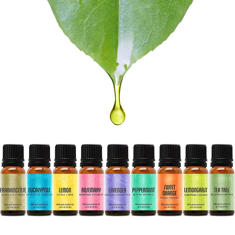 Floral Essential Oil Herbal Essential Oil for Home Use Lemon Clove Neroli Jasmine Chamomile Peppermint Eucalyptus Scented Space