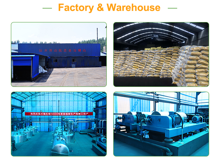 Company Introduction Part 2