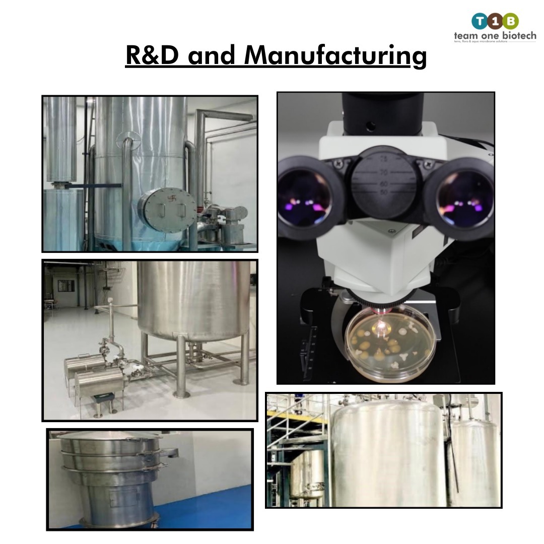 Probiotic Biofloc Culture for Aquatic Ecosystem Balance Made in India