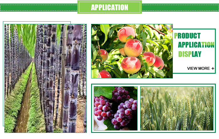 Application Guidelines
