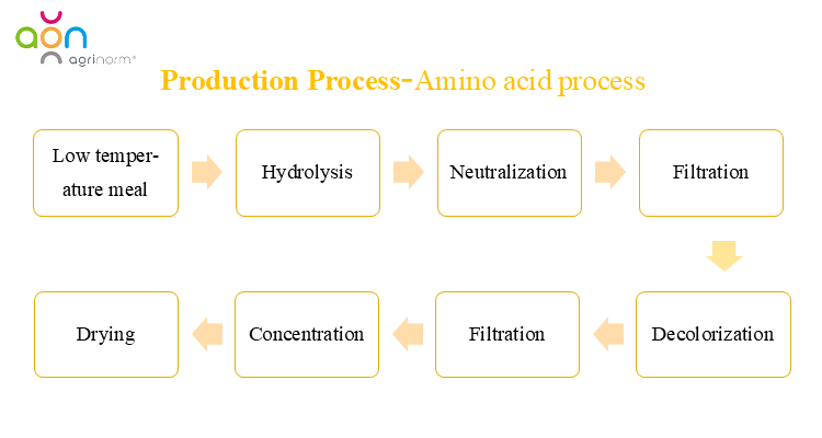 Production Process Chart
