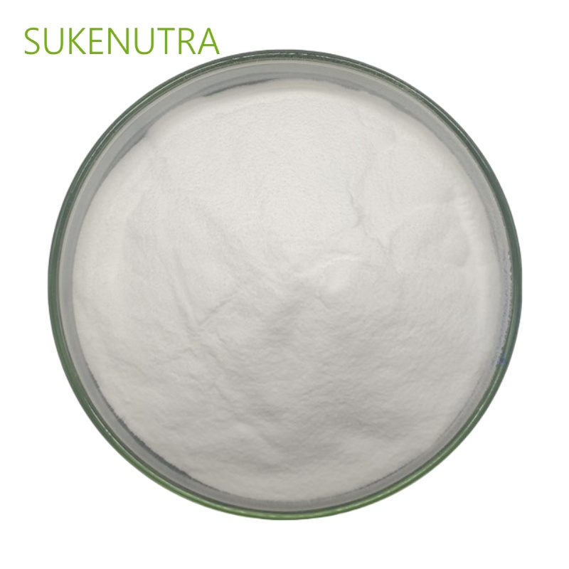 Lactobacillus Bulgaricus Probiotic Powder, Bulk Starter Culture for Yogurt and Dairy Products