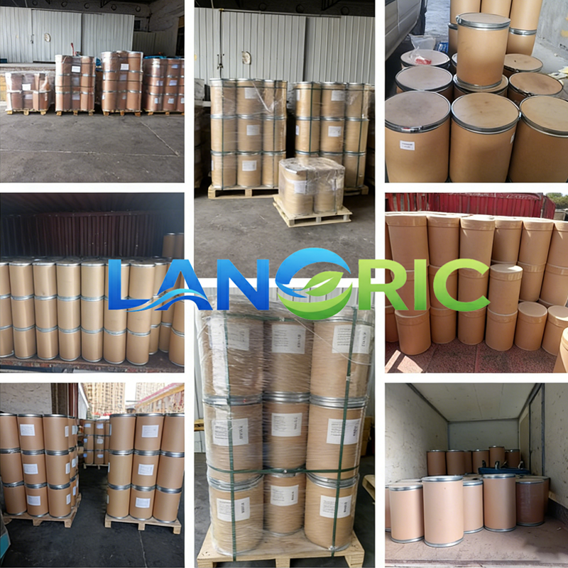 Natural L-Alanine 99% Powder Plant Derived Amino Acid Food Grade for Sports Nutrition &amp; Dietary Supplements
