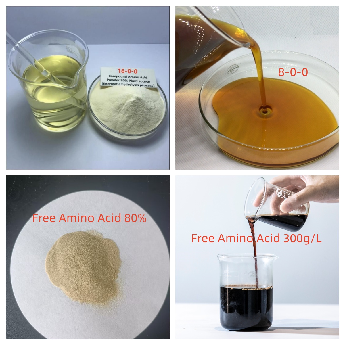 85% Free Amino Acid Powder | Hydrolyzed Protein Plant Biostimulant | Agriculture Grade Organic Agriculture Use | Completely