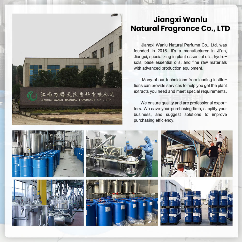 Company Facility Overview