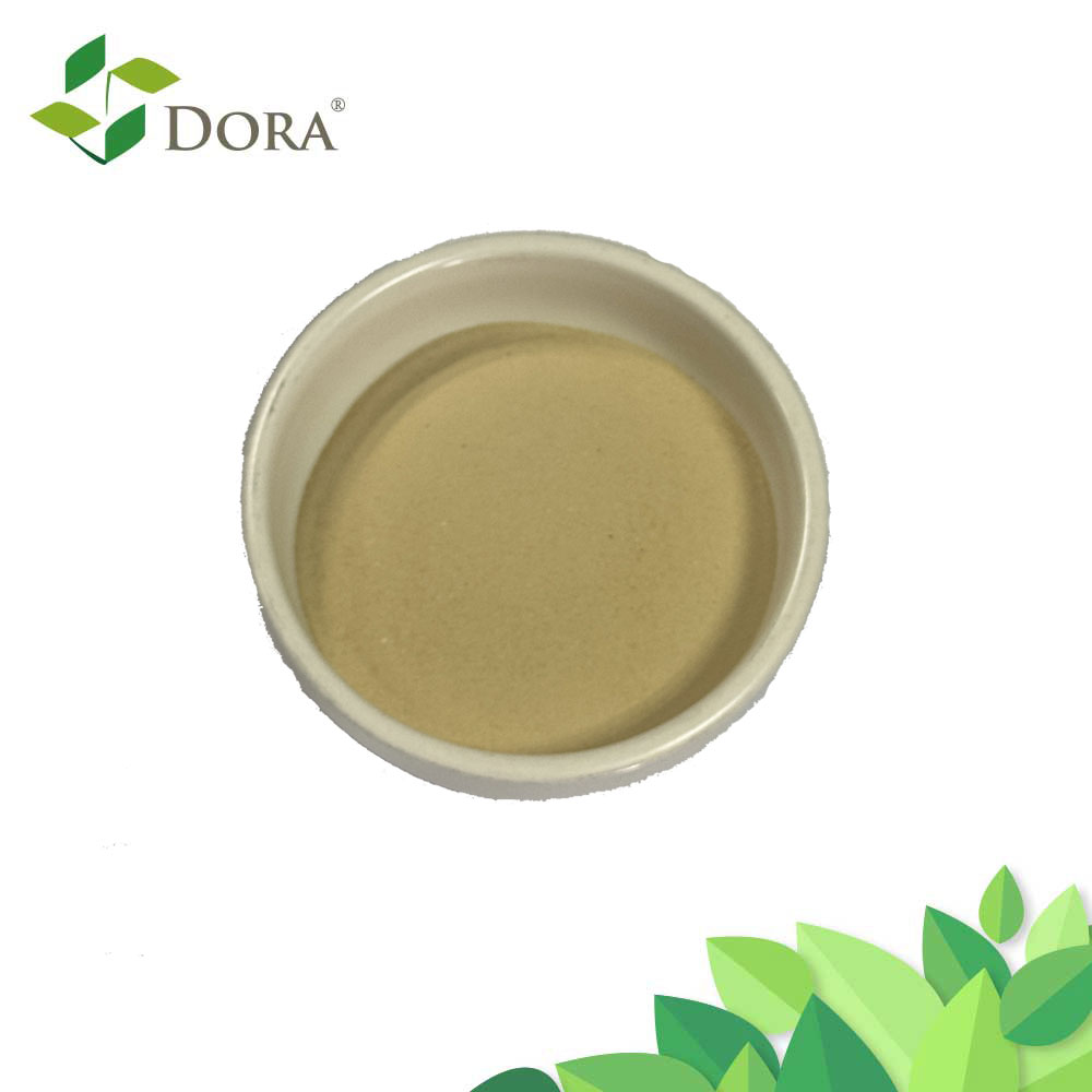 Amino Veg 80 Plant-Derived Amino Acid Powder Organic Fertilizer Quick Release for Agriculture Use Foliar Spray &amp; Irrigation