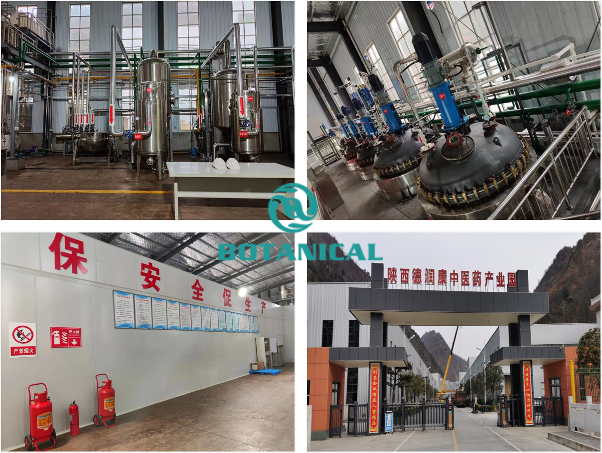 Natural Extracts Processing