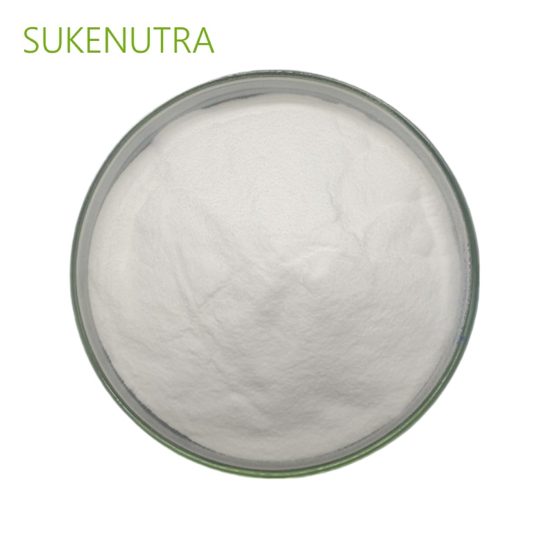 Lactobacillus Bulgaricus Probiotic Powder, Bulk Starter Culture for Yogurt and Dairy Products