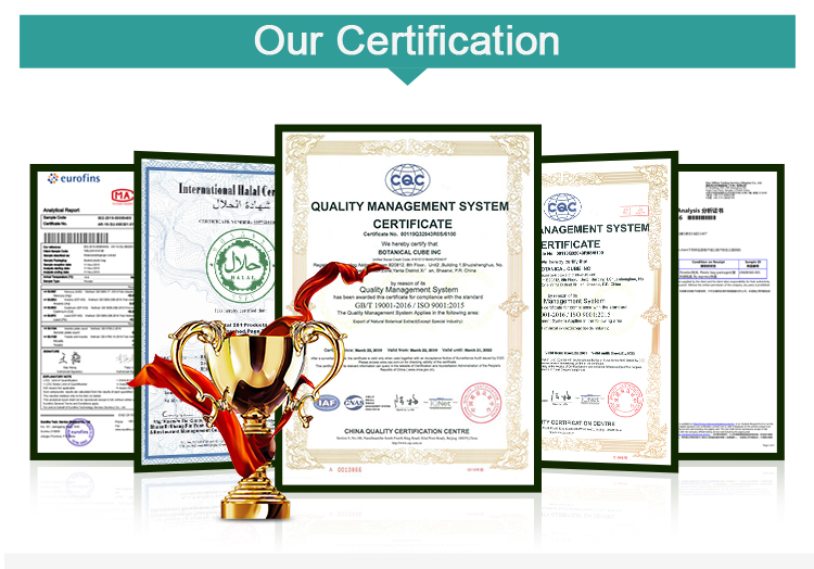 Manufacturing Environment