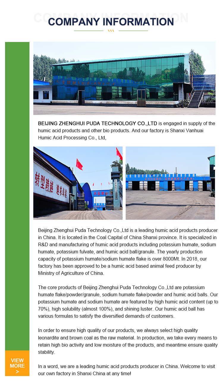 Company Introduction Part 1
