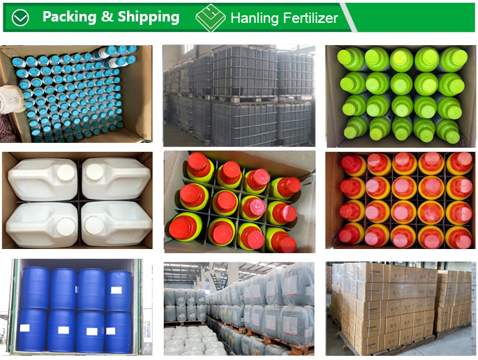 Storage and Delivery
