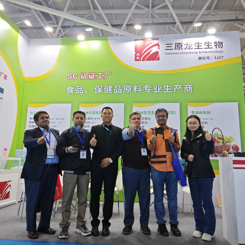Longsheng Natural Food Preservative Powder 50% Natamycin E235 in Lactose Nisin for Milk Candy CAS 7681-93-8