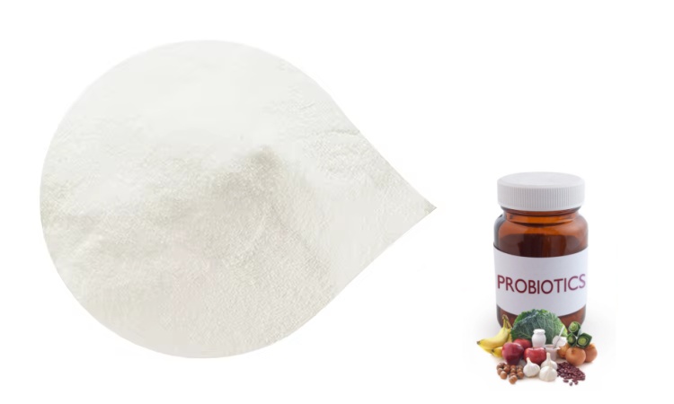 Lactobacillus Reuteri Probiotic Banner 3