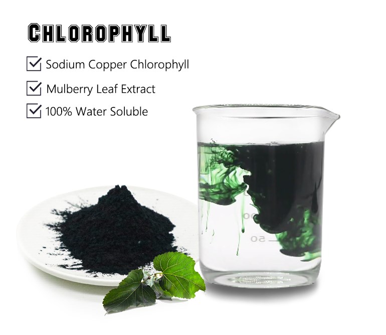 Factory Supply Natural Pigment Sodium Iron Chlorophyllin