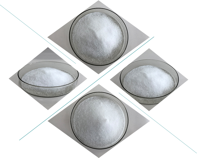 Dipalmitoyl Hydroxyproline Details