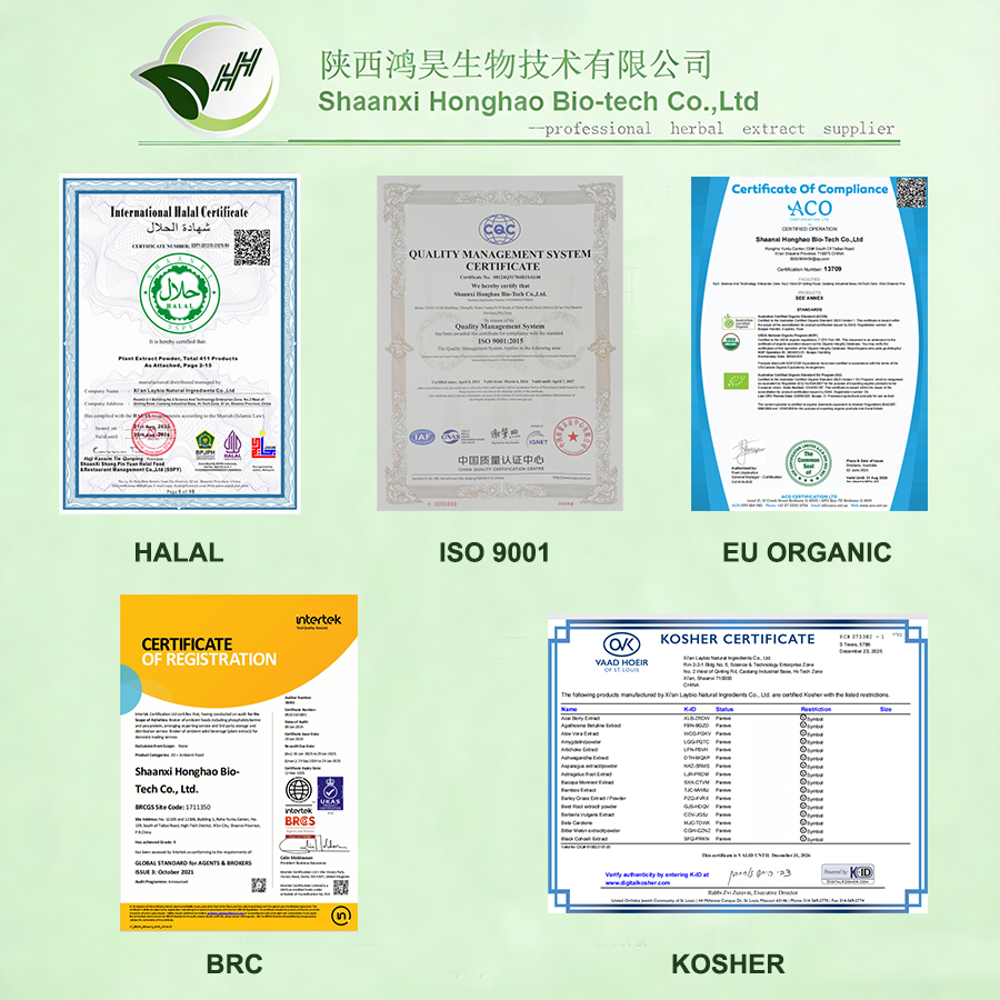 Lactiplantibacillus Plantarum Probiotic Culture Powder Dietary Supplement Ingredient